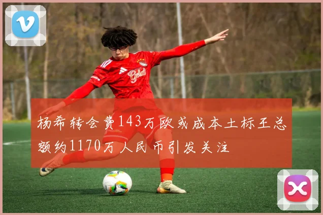杨希转会费143万欧或成本土标王总额约1170万人民币引发关注